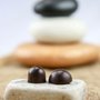 Photo of Ecila Sake Chocolates