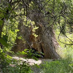 Arkansas Riverwalk Trail
