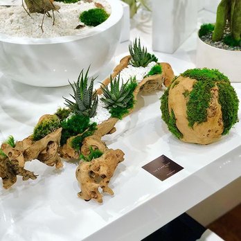 THE EDEN PLANTS - Updated June 2026 - 26 Photos & 11 Reviews - 2000 S  Federal Hwy, Fort Lauderdale, Florida - Nurseries & Gardening - Phone  Number - Yelp