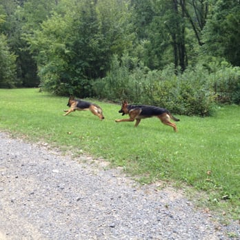 Fahracres Kennels - Pet Sitting Near Me - Julian, Pennsylvania Fahracres Kennels - Pet Sitting Near Me - Julian, Pennsylvania