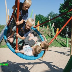 The Drop Zone - Fly, swing, dream...