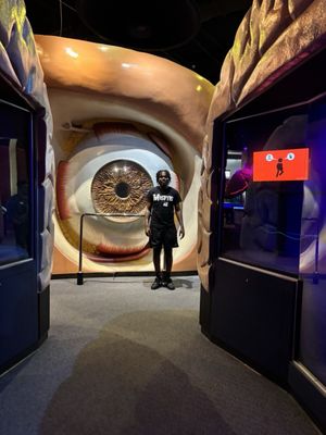 The Health Museum by null