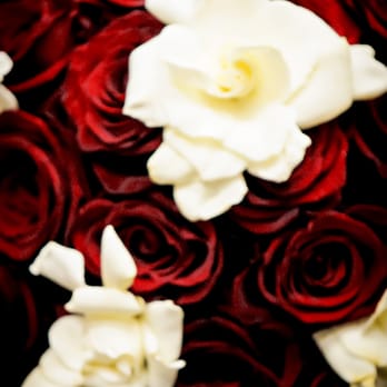B&B Floral Design - My bouquet, B&B Floral Designs, and What a Sweet Pea Photography from Mandi. - Floral Designers Near Me B&B Floral Design - My bouquet, B&B Floral Designs, and What a Sweet Pea Photography from Mandi. - Floral Designers Near Me