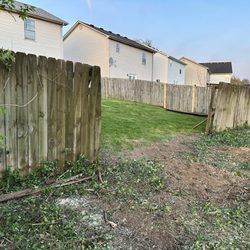Sure Notch Tree Service - Trees and shrubs cleared