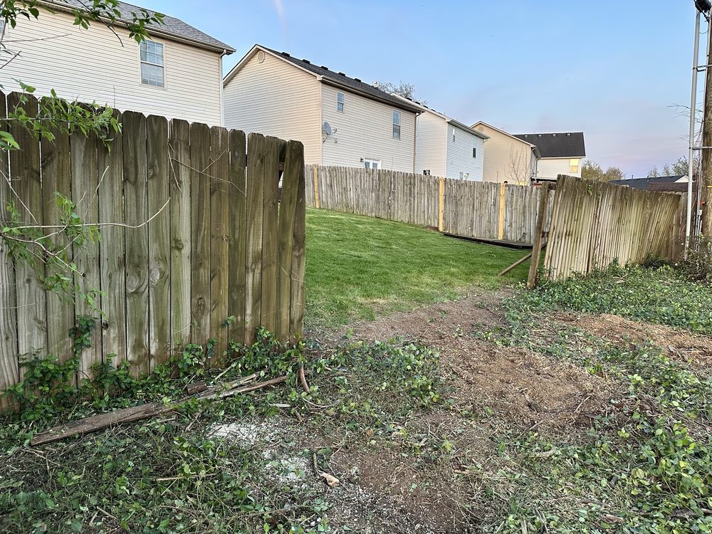 Sure Notch Tree Service - tree service in Lexington-Fayette, KY