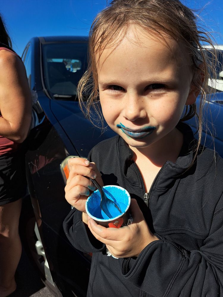 The Ice Cream Stop Logo