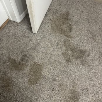Estradas Carpet Cleaning - Before - Carpet Cleaning Near Me Estradas Carpet Cleaning - Before - Carpet Cleaning Near Me