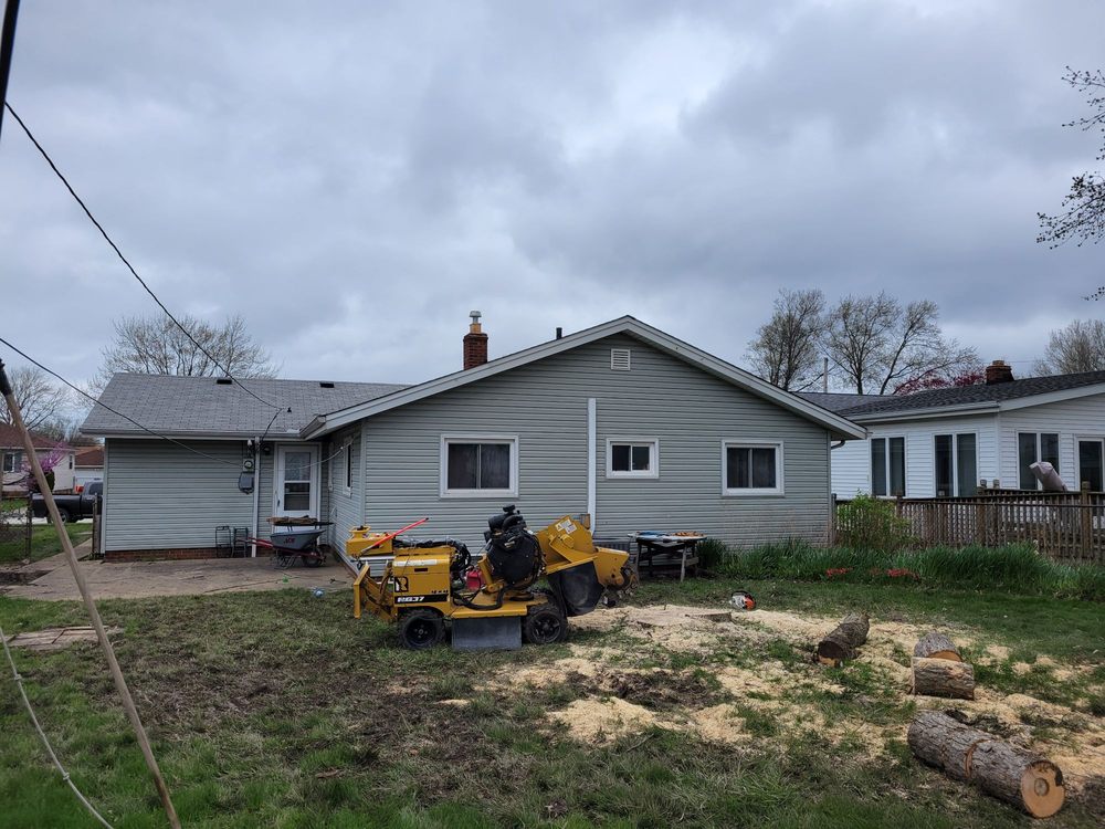 Thompson Tree Service - tree service in Kirtland, OH