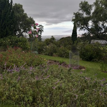 Ali'i Kula Lavender - Tours Near Me - Kula, Hawaii