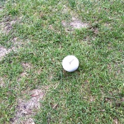 Dunegrass Golf Club