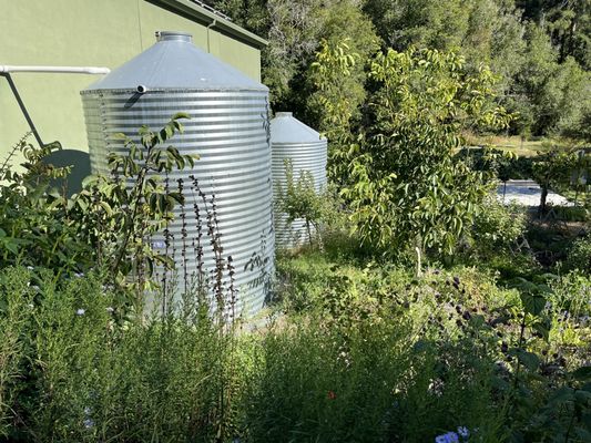 Lightwave Coffee & Kitchen by null