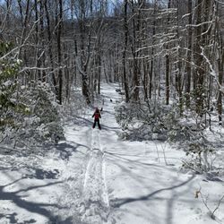 Laurel Ridge Cross Country Ski Center