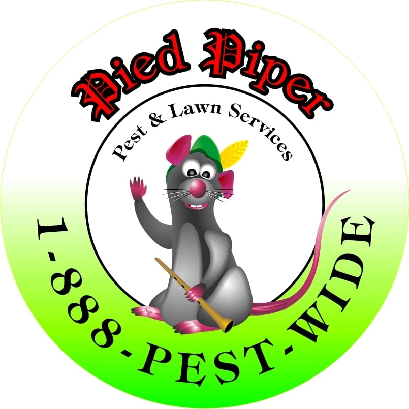 PIED PIPER PEST, TERMITE & LAWN SERVICES Updated October 2024 Fort Worth, Texas Pest