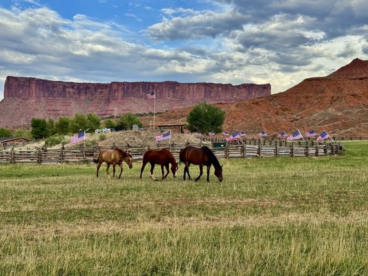 Red Cliffs Lodge Moab by null