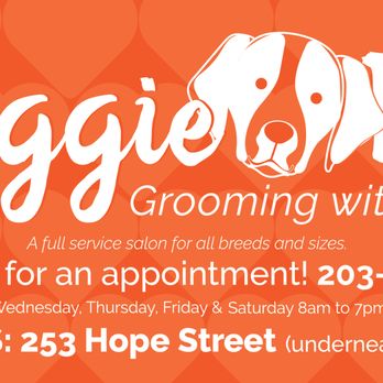 Doggie Do - Pet Groomers Near Me - Stamford, Connecticut