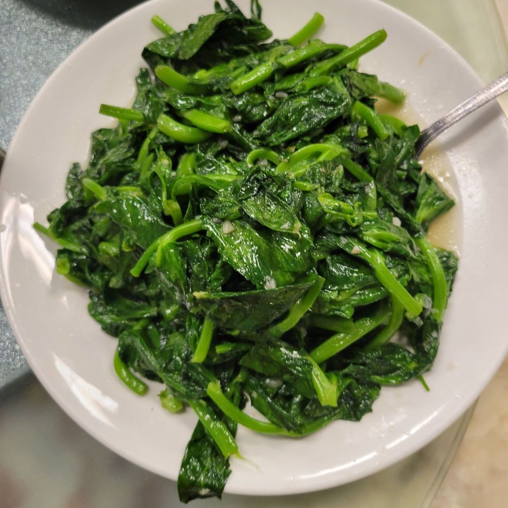 Pure Spice Restaurant - Glaric pea sprout - Dim Sum Near Me - Portland, Oregon Pure Spice Restaurant - Glaric pea sprout - Dim Sum Near Me - Portland, Oregon