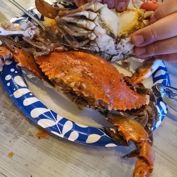 Long Time No Sea - Blue crabs - Seafood Near Me - Manassas, Virginia Long Time No Sea - Blue crabs - Seafood Near Me - Manassas, Virginia