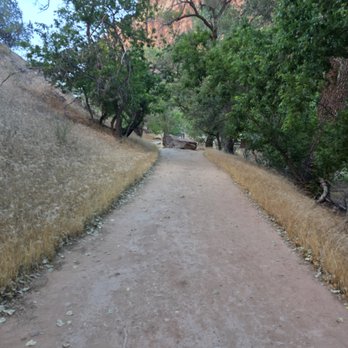 The Grotto Trail - Zion National Park: The Grotto Trail - Hiking Near Me The Grotto Trail - Zion National Park: The Grotto Trail - Hiking Near Me