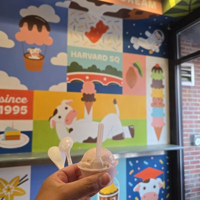 Lizzy's Ice Cream by null