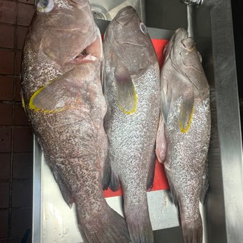 Fishtales Seafood Restaurant - 36 Photos 42 Reviews - Seafood - 1587 W Mcintosh Rd Griffin Ga - Restaurant Reviews - Phone Number