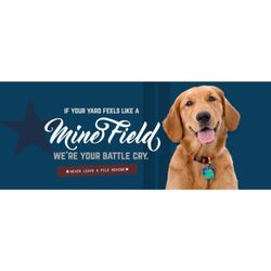 best holistic vets near me