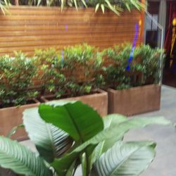 Mortdale Hotel - Beer Garden