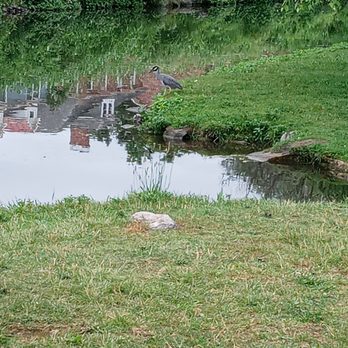 Baker Park - Bird - Tennis Near Me - Frederick, Maryland