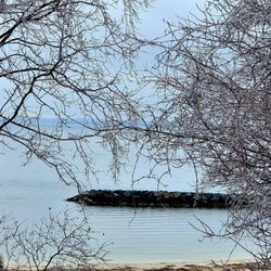 Navy Recreational Center Solomons - View of Patuxent River and swimming beach