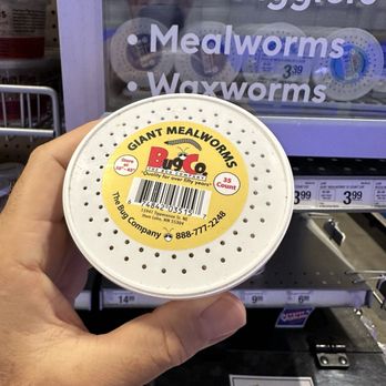PetSmart - Giant mealworms. - Pet Stores Near Me - Westlake Village, California PetSmart - Giant mealworms. - Pet Stores Near Me - Westlake Village, California