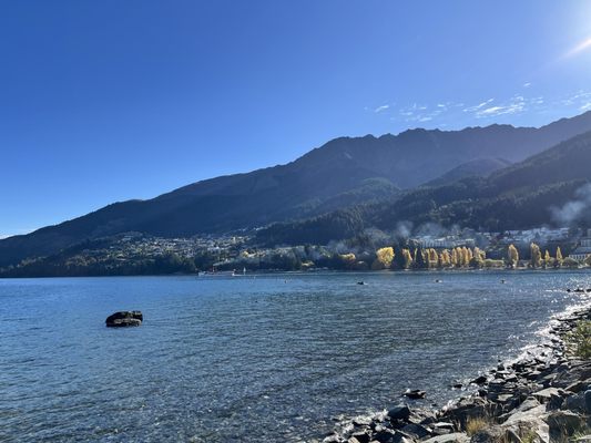 Queenstown Gardens by null