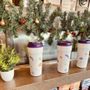 Photo of The Coffee Bean & Tea Leaf