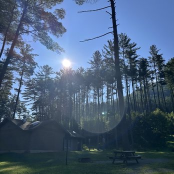 Little Pine State Park - Our last morning sunrise over the tall trees - Hiking Near Me - Waterville, Pennsylvania