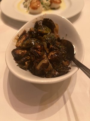 Ocean Prime by null