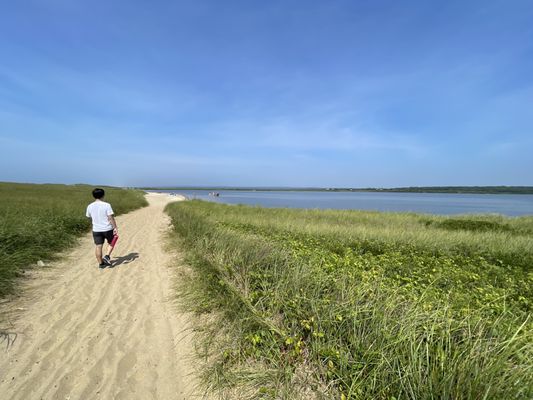 Long Point Wildlife Refuge by null