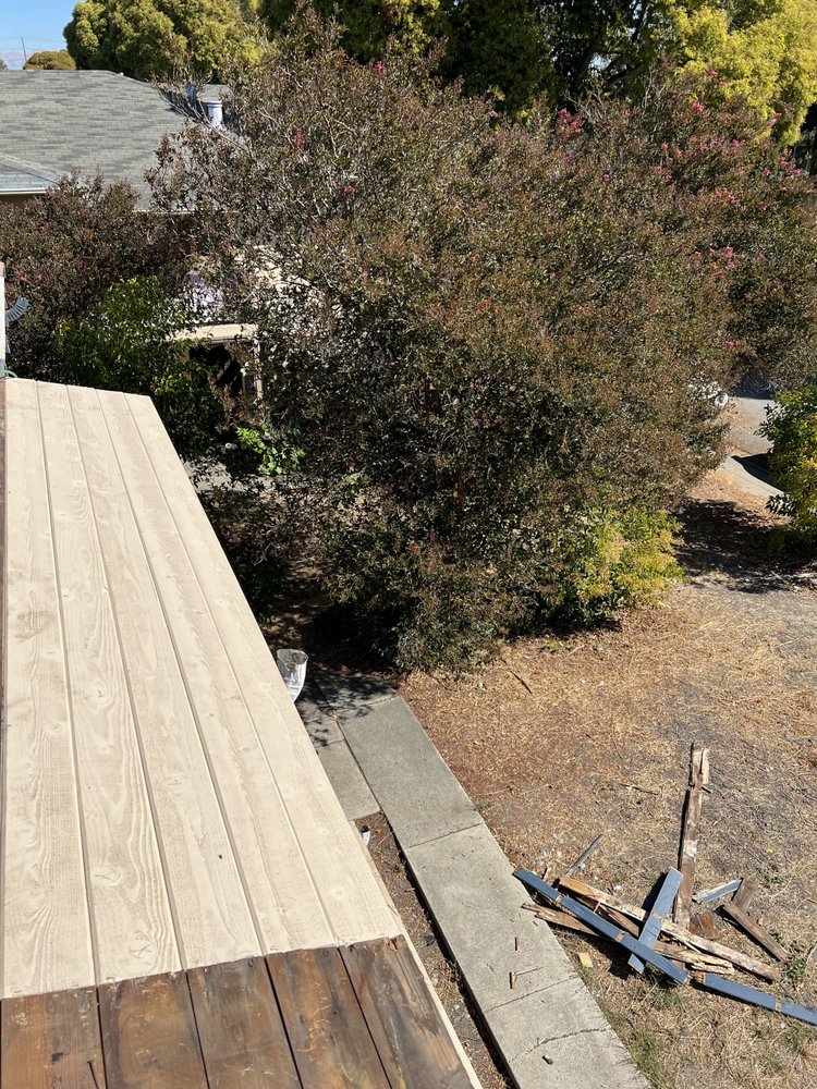 Slide of Israel Professional Roofer