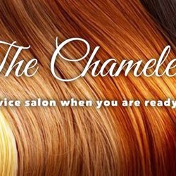 The Chameleon Full Service Salon