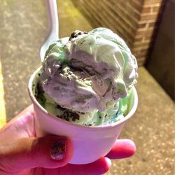 Verona Custard - Verona Custard -- small is big