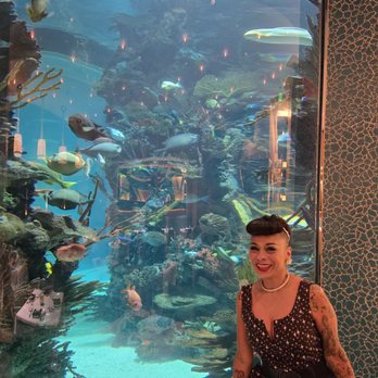 Chart House - Fish tank in the restaurant - Seafood Near Me - Las Vegas, Nevada Chart House - Fish tank in the restaurant - Seafood Near Me - Las Vegas, Nevada