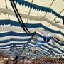 Augustinerbräu-Festhalle