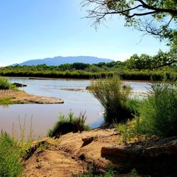 Paseo del Bosque - Alameda Access Point