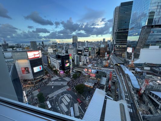 Shibuya Excel Hotel Tokyu by null