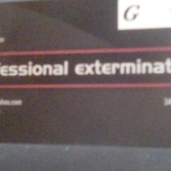 Noah Gee's Pest Control