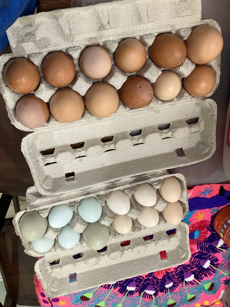 EMMANUEL’S EGGS 4901 Thunderbolt Rd, Concord, North Carolina Farmers Market Phone Number