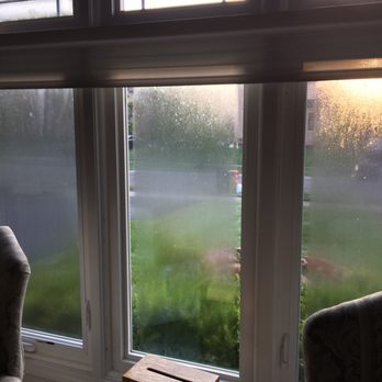 Wallside Windows - Ad windows , outside condensation, can not wipe  , can not see outside - Windows Installation Near Me - Taylor, Michigan