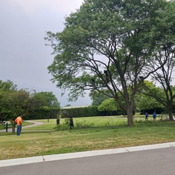 Leon's Tree Service - Tree Services Near Me - Pontiac, Michigan Leon's Tree Service - Tree Services Near Me - Pontiac, Michigan