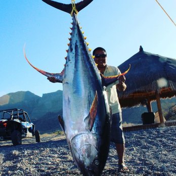 Silver King - Amazing - Boating Near Me - Loreto, BCS Silver King - Amazing - Boating Near Me - Loreto, BCS