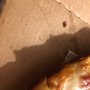 Photo of Domino's Pizza