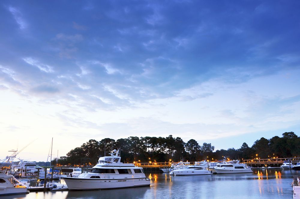 Social spots from Shelter Cove Harbour & Marina