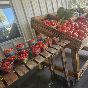 Waldron Produce - Fruits & Veggies Near Me - Citra, Florida