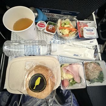 All Nippon Airways - they fed us very well, so much food - Airlines Near Me - Richmond, British Columbia All Nippon Airways - they fed us very well, so much food - Airlines Near Me - Richmond, British Columbia